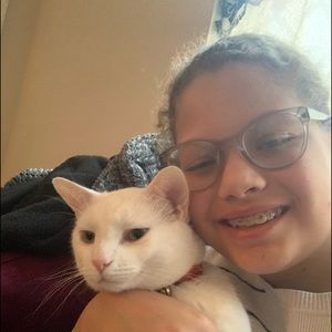 Meet your Posher, Journey